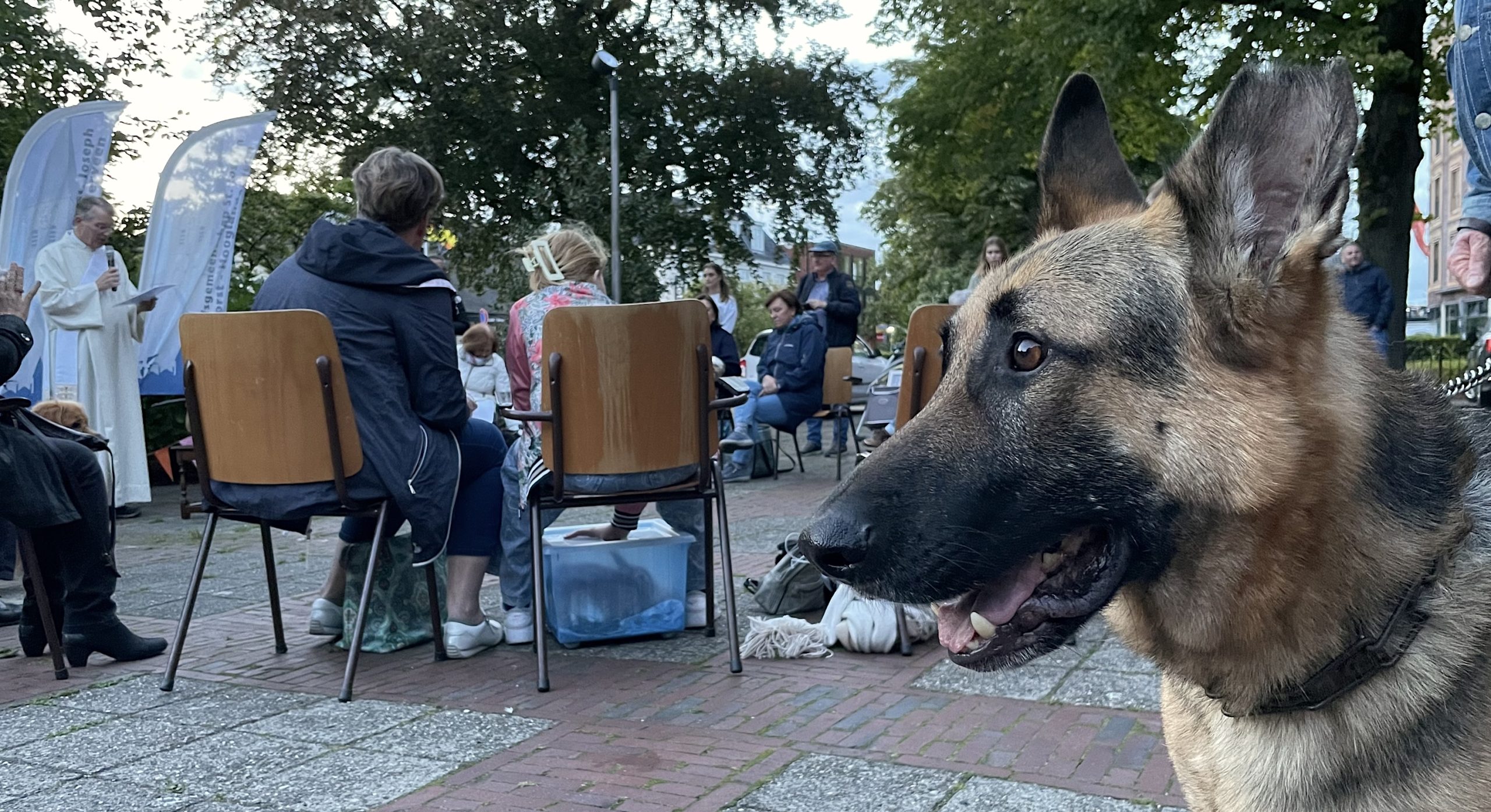 Dieren krijgen zegen op Dierendag