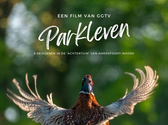 Filmavond in de Pastorie: Parkleven – een jaar Stadspark Schothorst